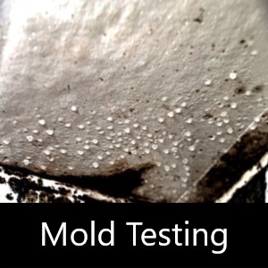 Mold Testing San Luis Obispo